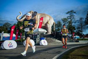 BIB: 
                            <button type="button" onclick="openModal(26541655)" class="btn btn-primary btn-sm float-right btn-popup" data-toggle="modal" data-target=".modal-high-quality">
                        <i class="fas fa-shopping-cart"></i> Add to Cart
                    </button>
                                            <button type="button" onclick="isThisMe(26541655, true)" class="btn btn-success btn-sm float-right btn-popup btn-isme hidden" data-toggle="tooltip" data-placement="bottom" title="นี่คือรูปของคุณใช่ไหม คลิกที่นี่เพื่อเอาเข้าอัลบั้ม">
                        <i class="fas fa-plus"></i> Add to album
                    </button>
                    <button type="button" onclick="isThisMe(26541655, false)" class="btn btn-warning btn-sm float-right btn-popup btn-isnotme hidden">
                        <i class="fas fa-ban"></i> Remove from album
                    </button>